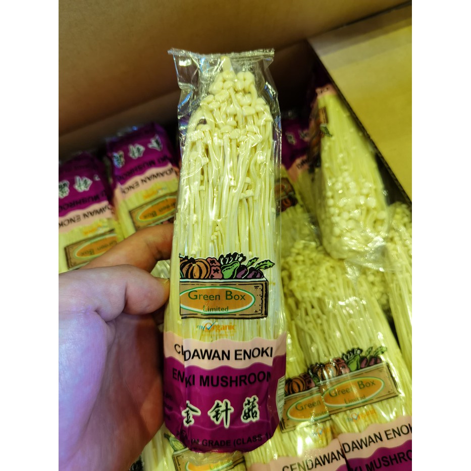 Jamur Enoki Segar Fresh Enoki Mushroom GreenBox 100g / Pack