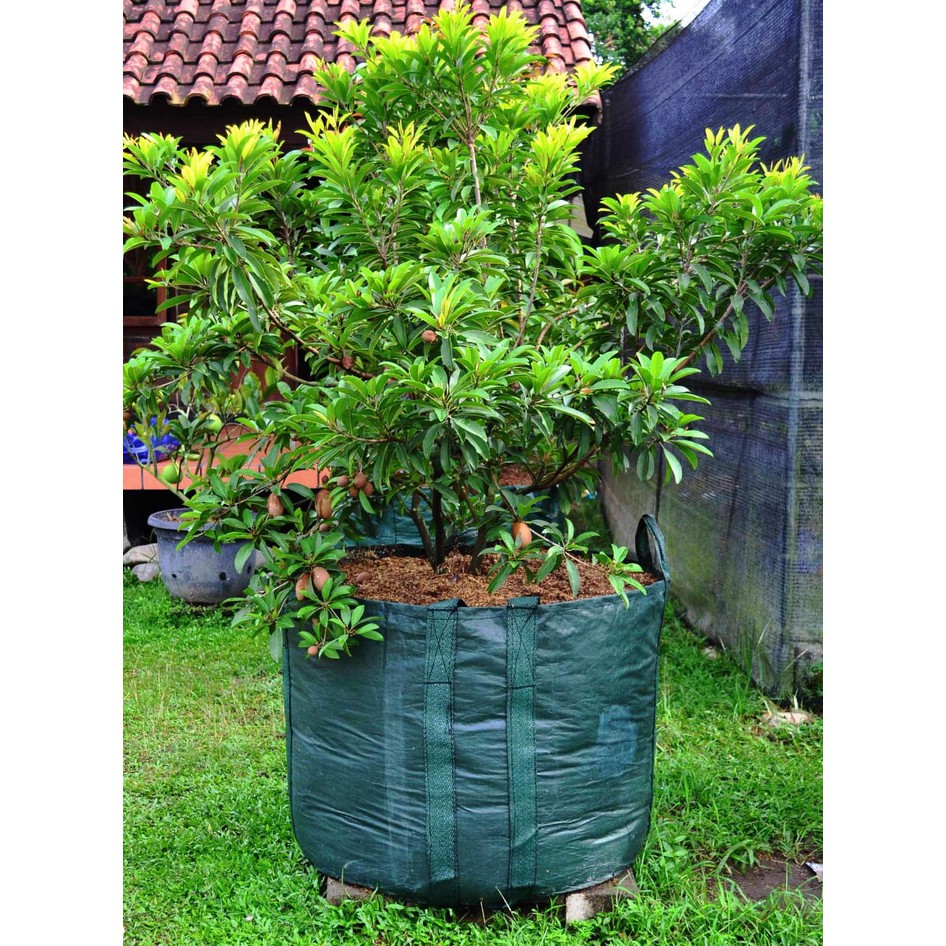 Planter bag 400 Liter EASY GROW planterbag 400liter easygrow kantong Pot polybag semai benih bibit Tanaman bunga sayuran buah planter bag