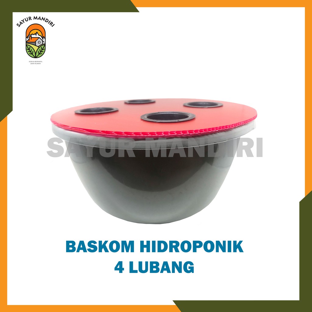 Baskom Hidroponik 4 Lubang Murah