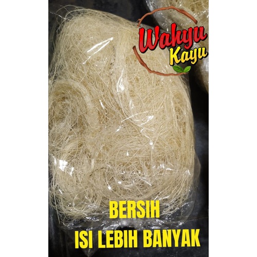 SERAT NANAS SARANG TERNAK BURUNG KENARI BREEDING