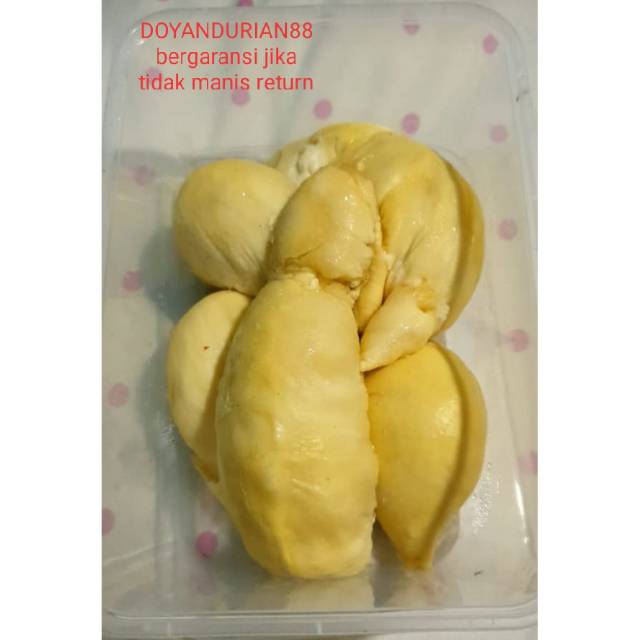 

DURIAN MONTONG PALU