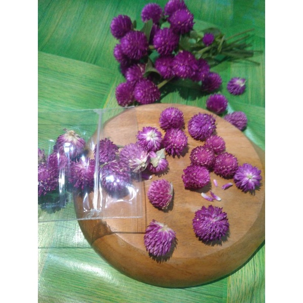 

GLOBE AMARANTH (tea flower,sehat,organic,