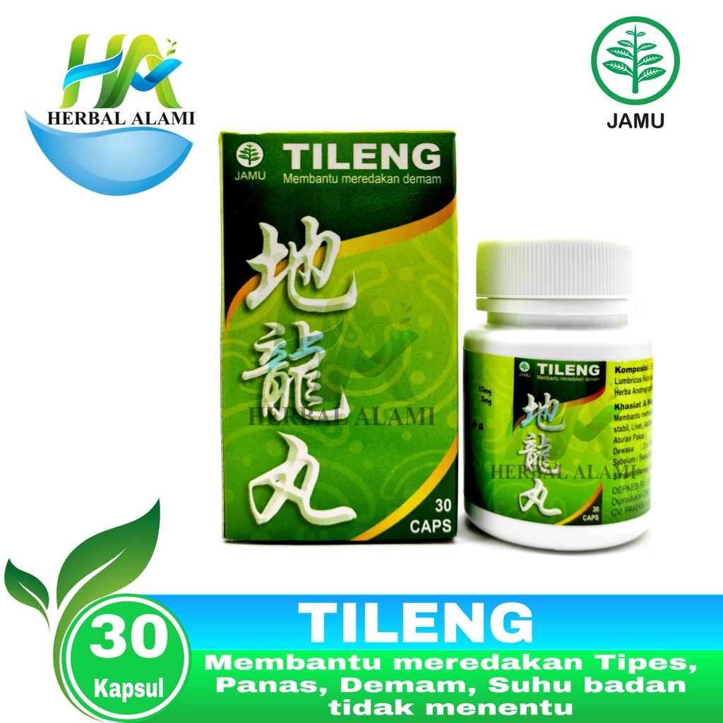 Tileng (Ekstrak Cacing Tanah) - Obat Tipes / Tifus / Typhus/ Demam