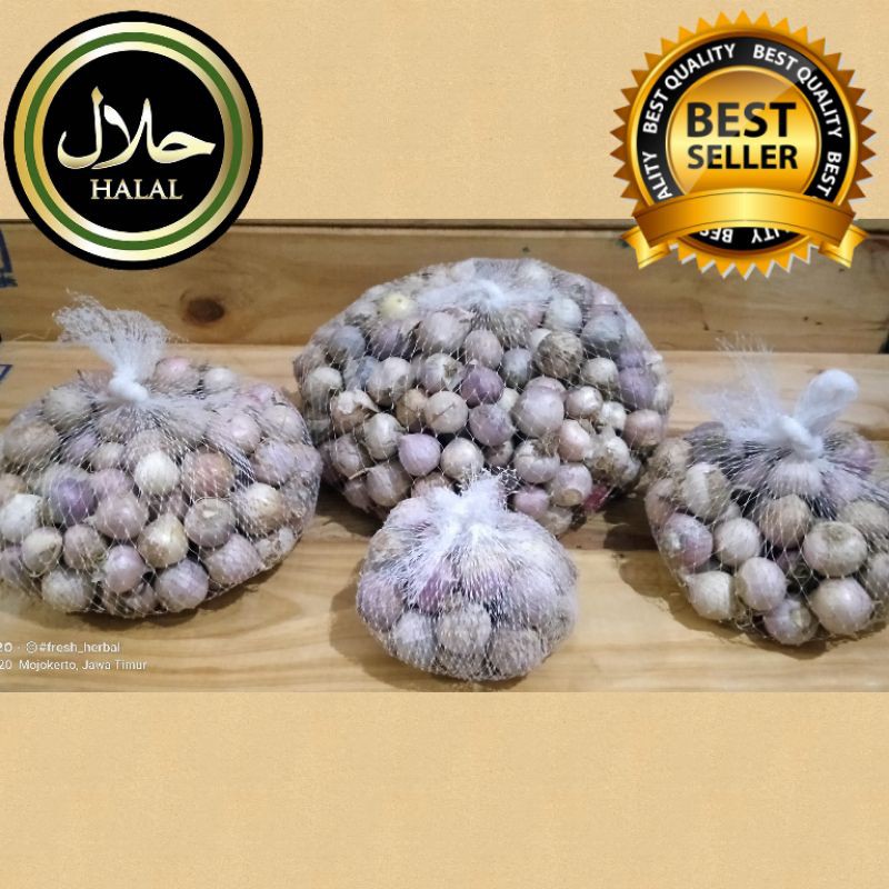 

Bawang Putih Tunggal / Bawang Tunggal / Bawang Lanang 1kg Import Kualitas SUPER Ukuran Sedang