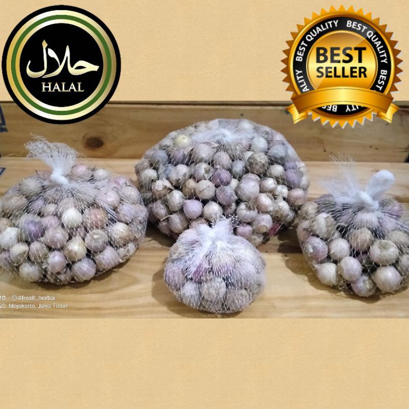 

Bawang Putih Tunggal / Bawang Tunggal / Bawang Lanang 1kg Import Kualitas SUPER Ukuran Sedang