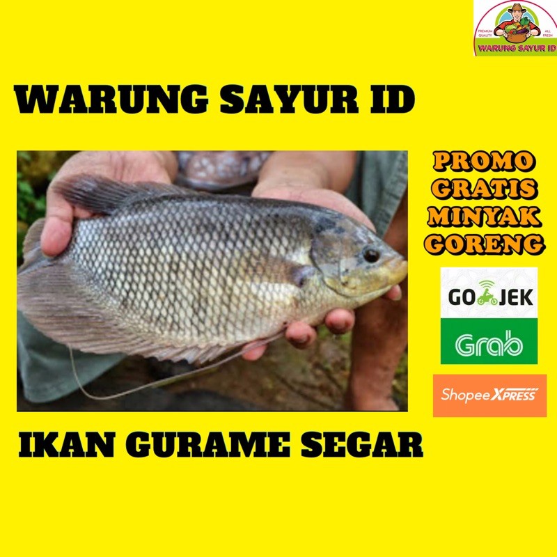 

IKAN GURAME SEGAR 1 KG