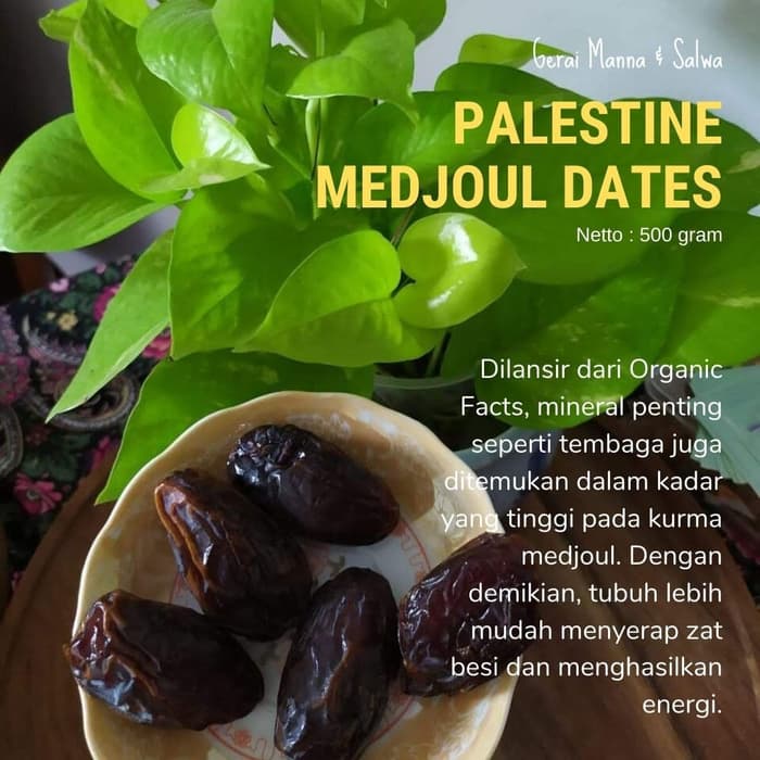 

KUALITAS TERBAIK - KURMA MEDJOOL PALESTINA