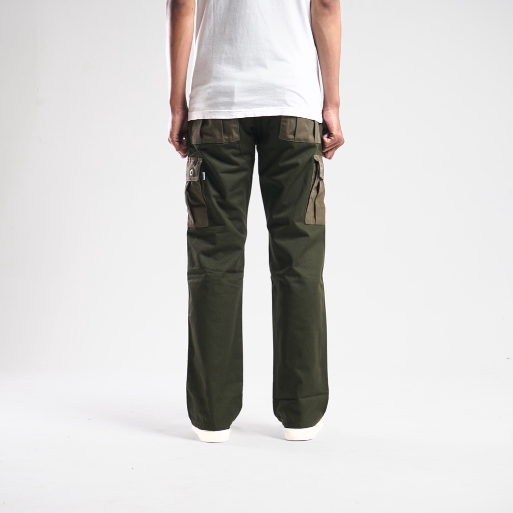 WISED | CRASHED V2 | CARGO PANTS