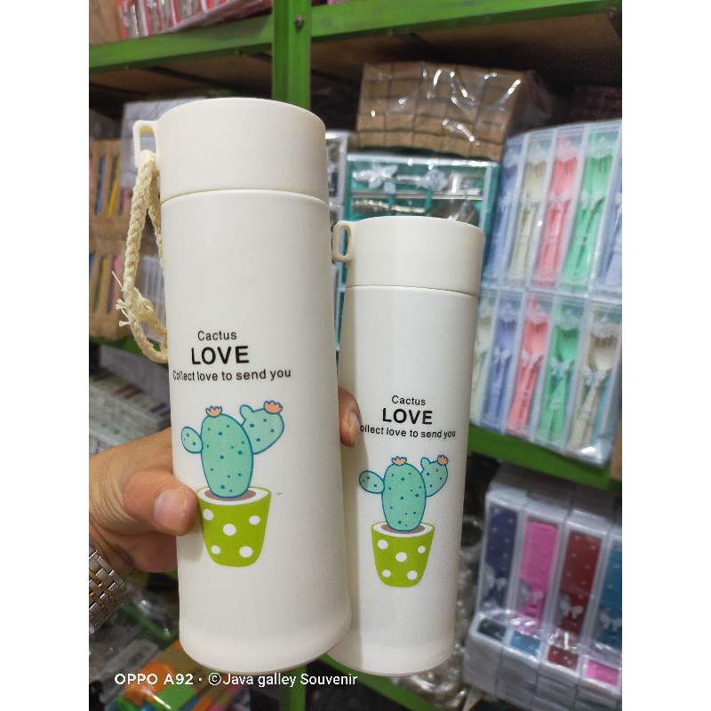 BIG PROMO Souvenir Botol Minum Kaktus + Box, Tumbler Kaktus Botol Kaca Kaktus Aesthetic Botol