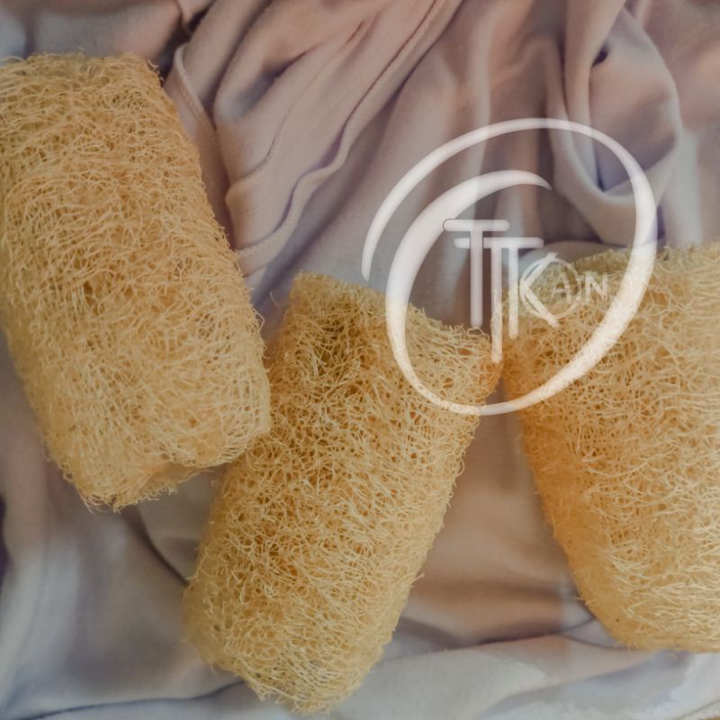 bulustru/loofah/oyong kering/sponge natural