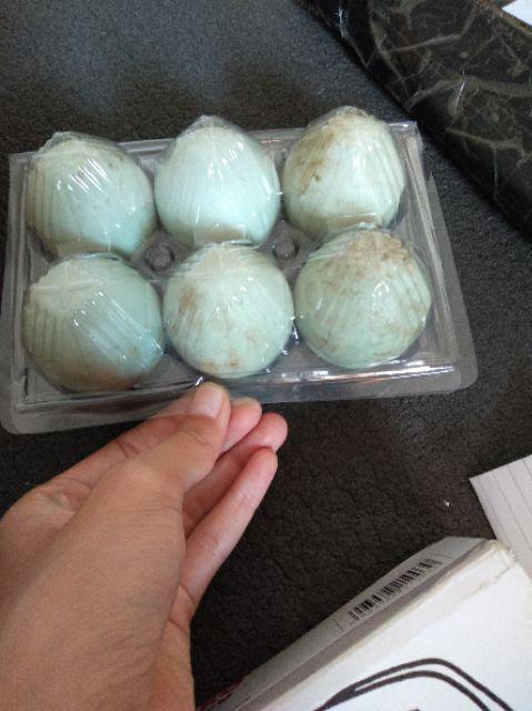 Mika Telur Isi 6 | Grosir Mika Tray Telur Termurah