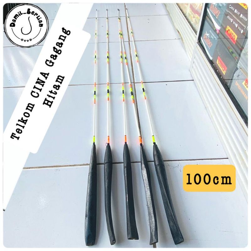 JORAN PANCING TELKOM CINA DAMIL_BERLIAN