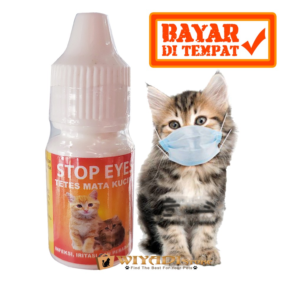 Stop Eyes Obat tetes Sakit Mata Merah Berair Belek Anak Kucing Kitten