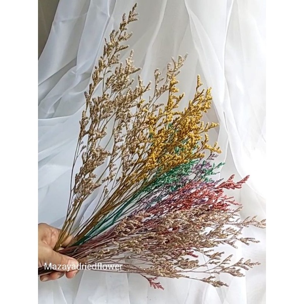 Dried Flower Rustic Caspia Bunga Kering Lovergrass | Props Foto wedding | Caspea