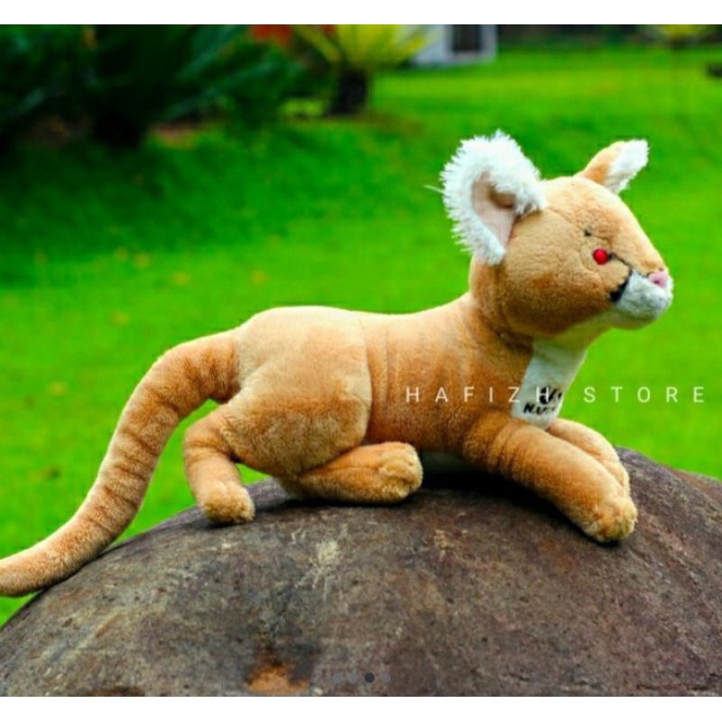 Boneka kucing hutan