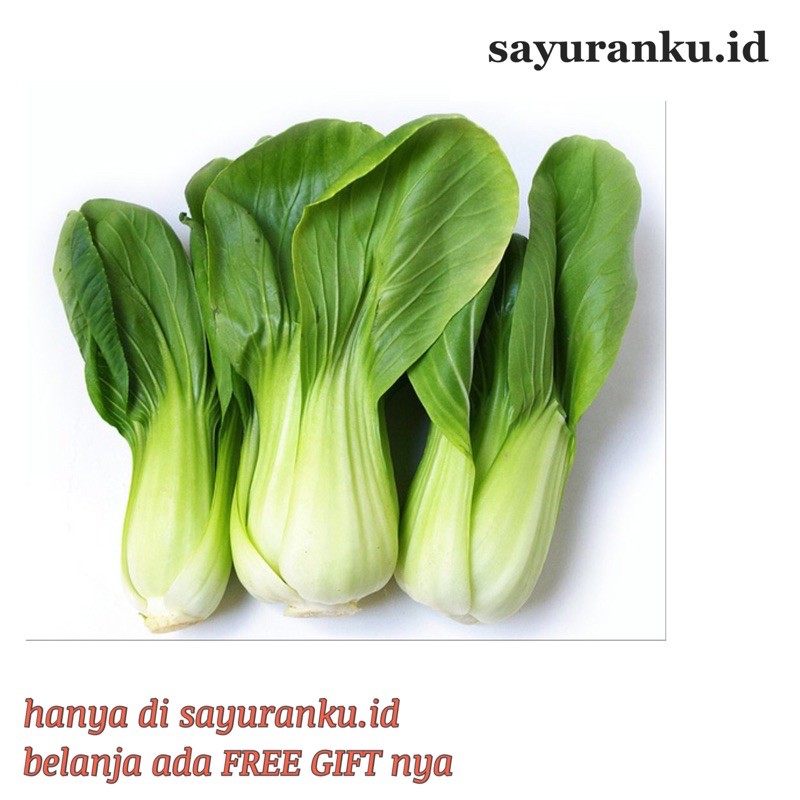 

pakcoy pakcoi per bungkus sayur segar sayuran fresh pasar murah pasar jakarta