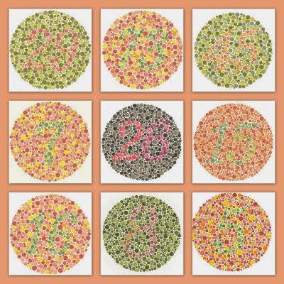 Buku Ishihara 14 Plates / Buku tes buta warna