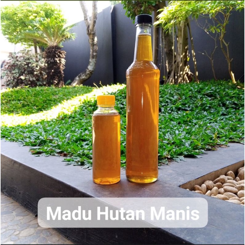 

Madu Hutan Manis
