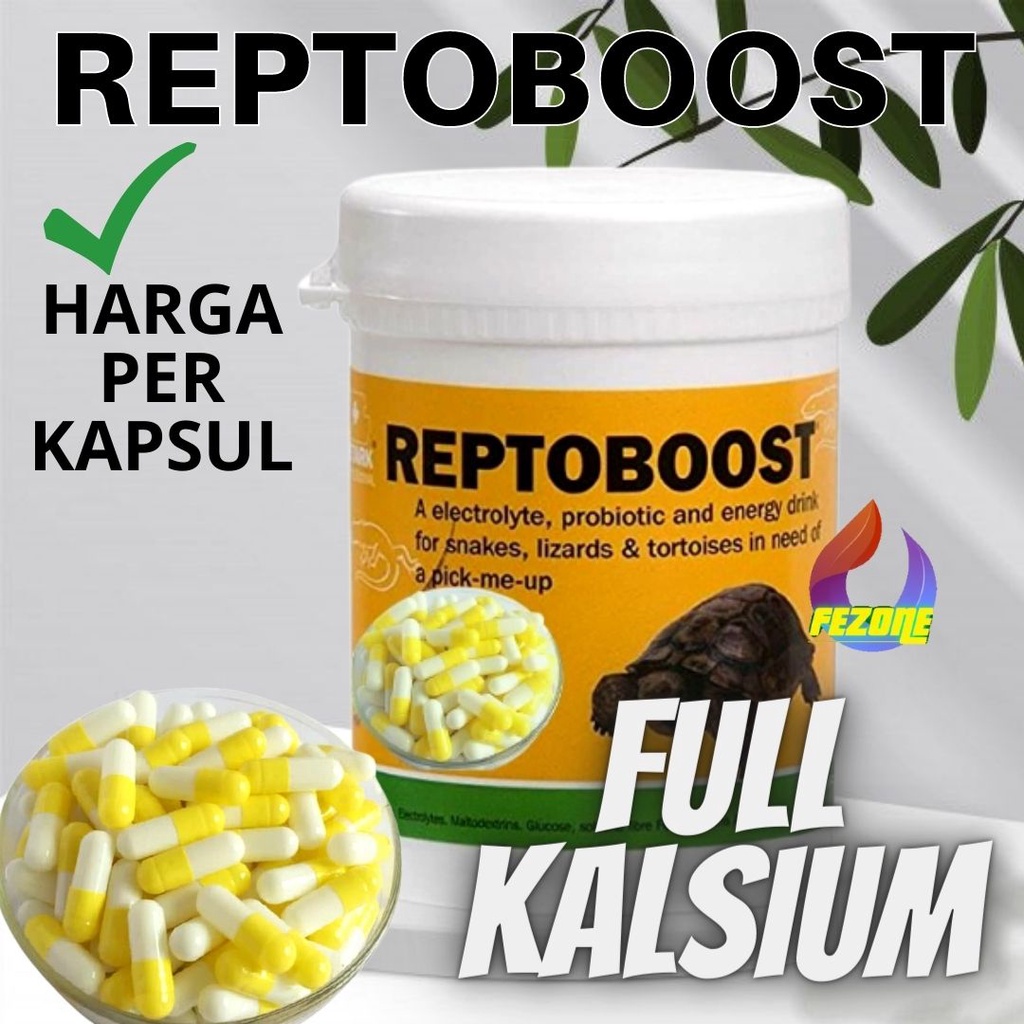 Kapsul /Obat Retil REPTOBOOST Oabt Pilek Pnemonia Penambah Nafsu Makan FEZONE