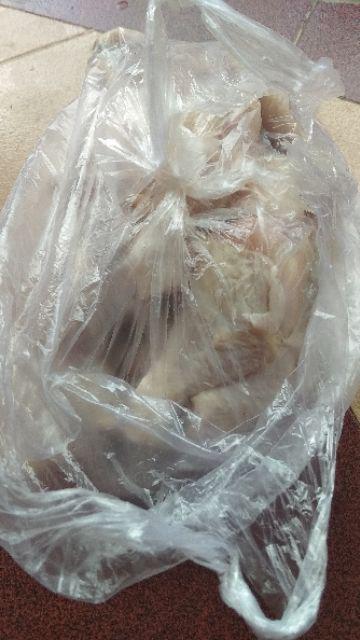  SayurOnline PAHA BAWAH AYAM BROILER SEGAR 500g 