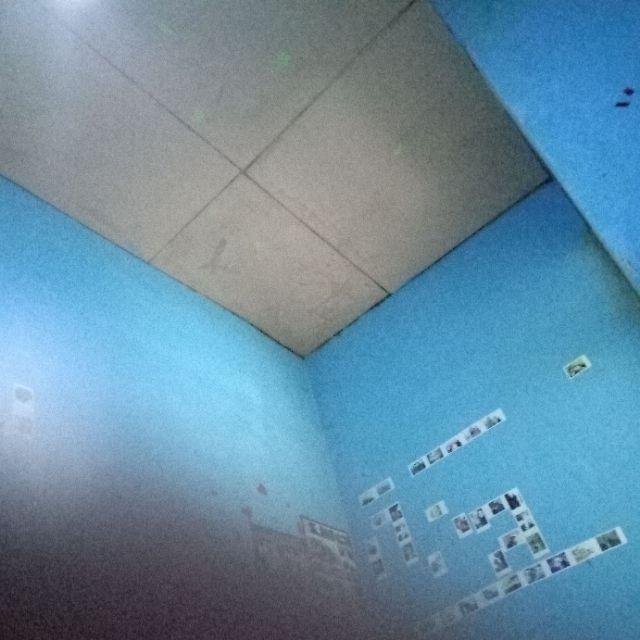 Toples Kue Kering Sekat 6 Bunga Permen Cemilan Candy Tray Rejeki Ct 168 Owl Plastik Ct168