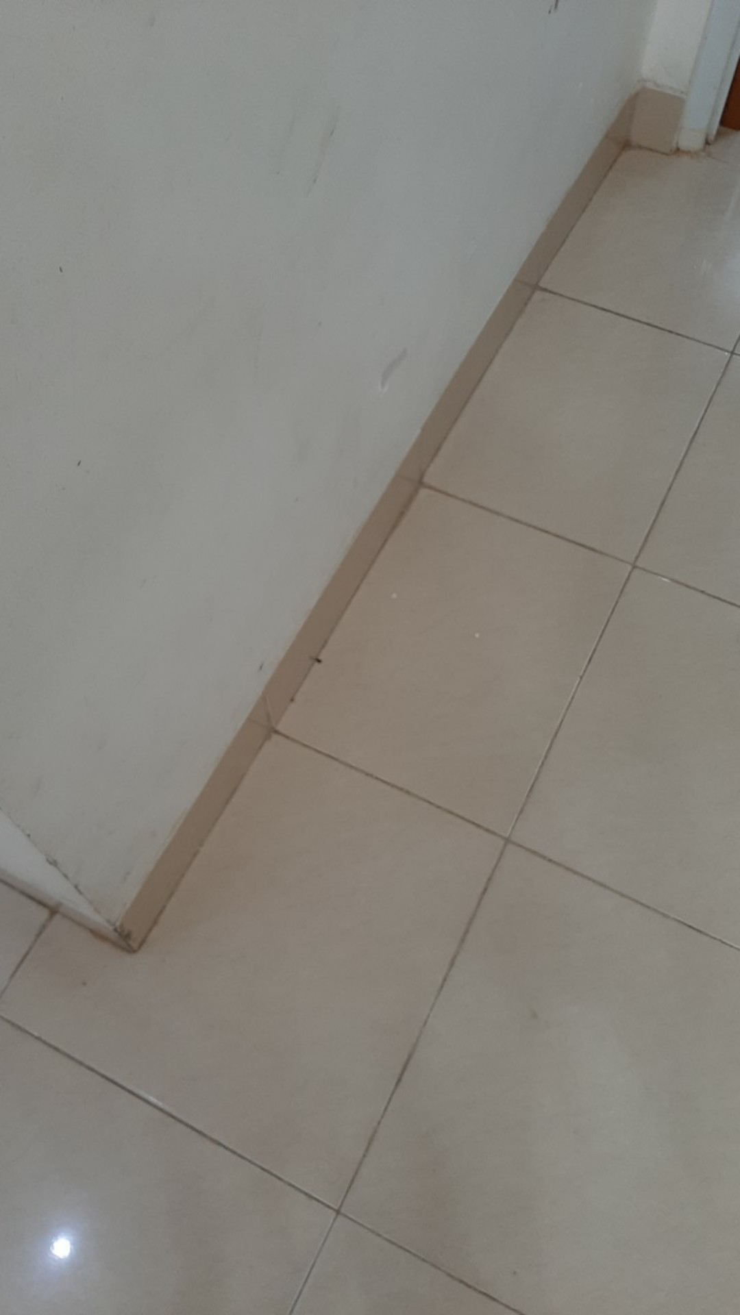 Softener Laundry Wangi Aneka Aroma @ 5 L / Pelembut Pakaian Harum Kleen-r Harume