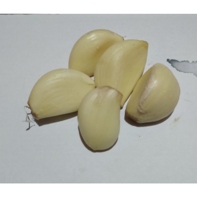 

BAWANG PUTIH KUPAS 500g