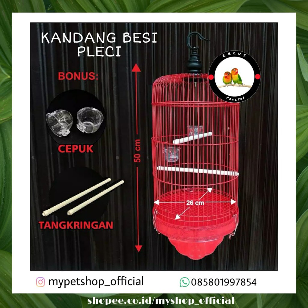 SANGKAR PLECI BESI IMPORT KANDANG BURUNG PLECI DLL ...