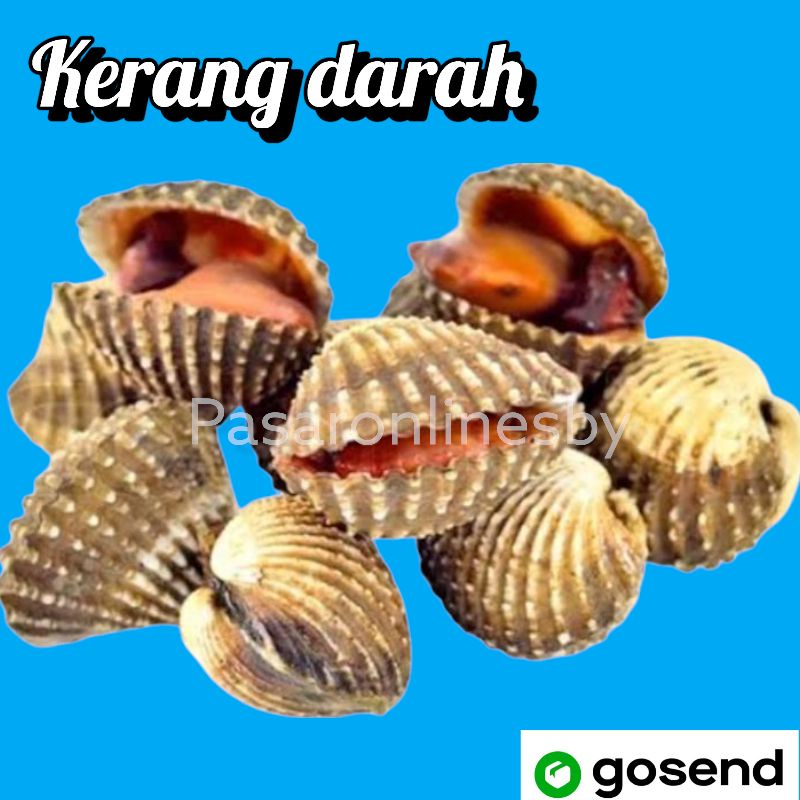 

PASAR GUBENG - Kerang Darah