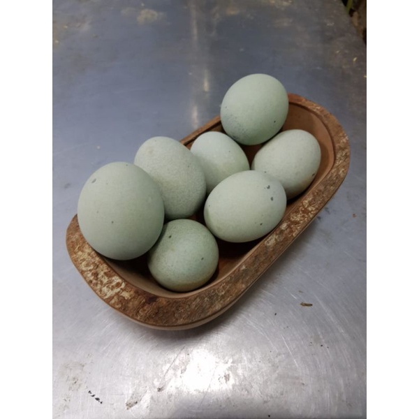 Telur Phitan Polos per Butir