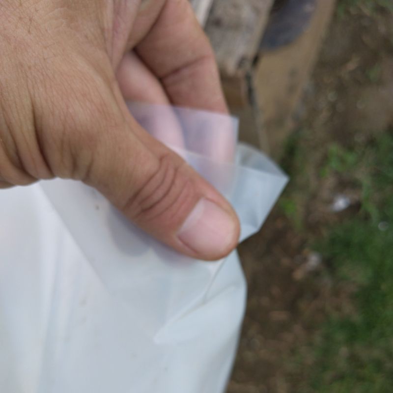 Plastik UV 4 METER 200MICRON