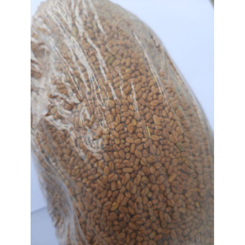 

Biji kelabat/klabet 500 gram