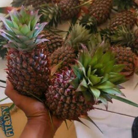 

HOT 12.12 ATR-713 NANAS MUDA || PELANCAR HAID || HERBAL