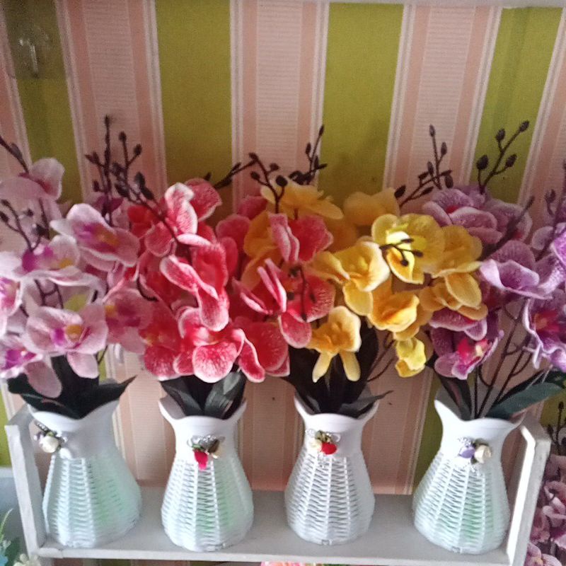 bunga anggrek pot ulir plastik house of dyna banjarmasin