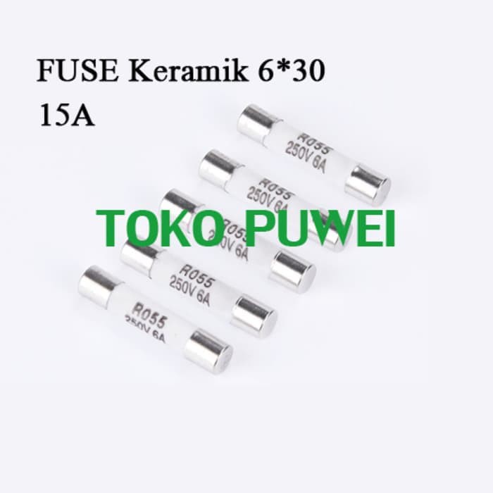 Fuse ceramic FUSE Keramik Fius 6x30mm 6x30 250V 15A 15 A BO22
