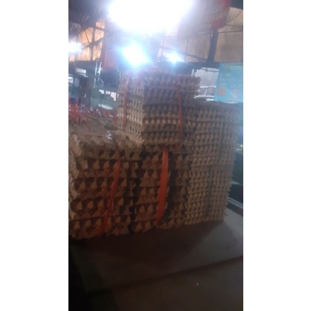 tray Telur Ayam Bekas