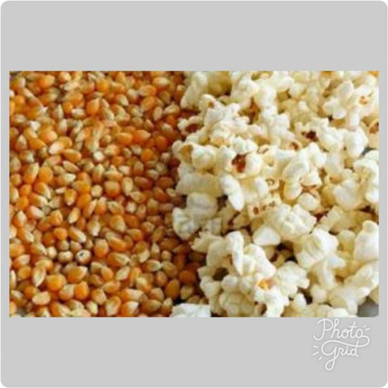 

pop corn mentah/bahan membuat pop corn
