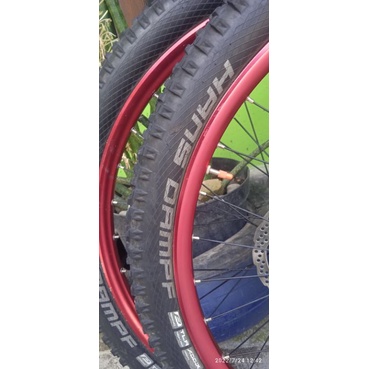 whelset 27,5 suara tawon