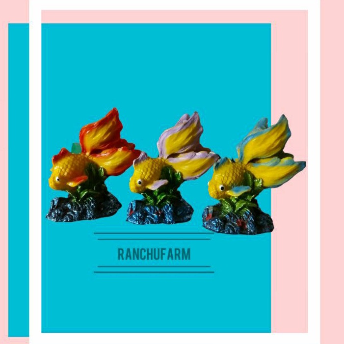 Hiasan Ikan Koki Ikan Mas Koki | Hiasan Aquarium Aquascape