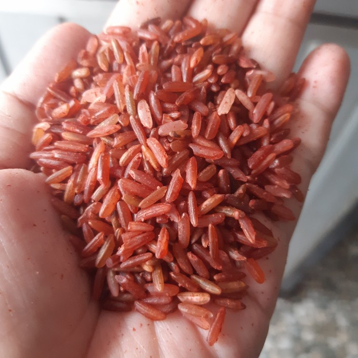 

Beras Merah Sosoh 1 kg Pulen Cocok untuk Diet dan MPASI