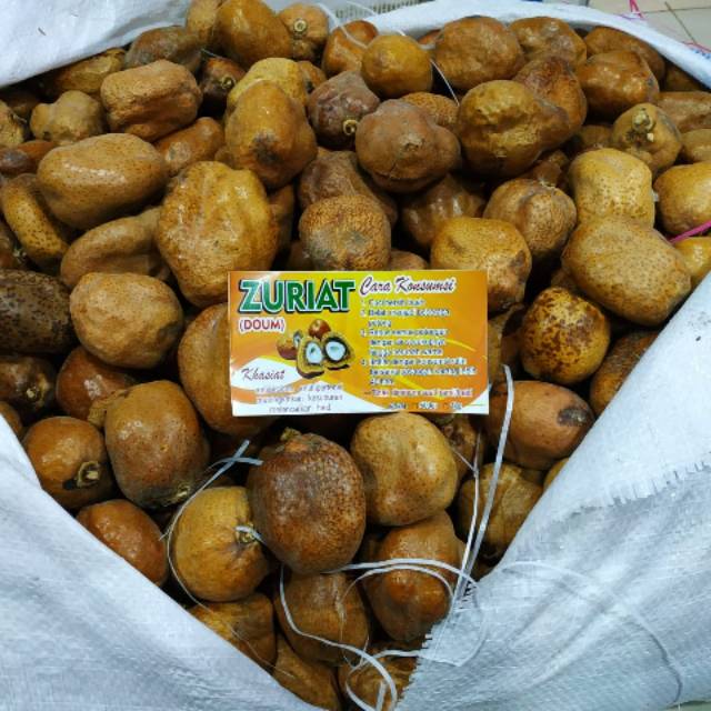 

Buah zuriat (kualitas super)