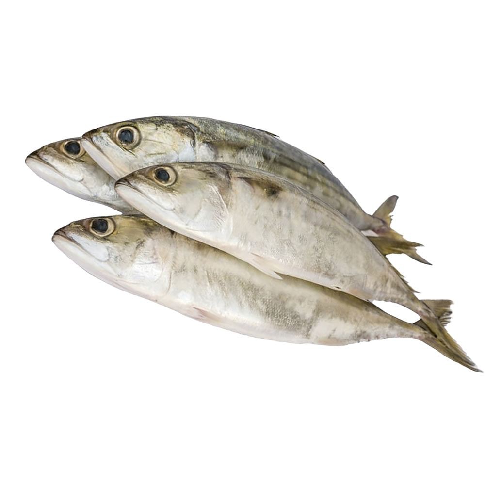 

Ikan Kembung Fresh 500gr - 1Kg Pasar Murah Bandung