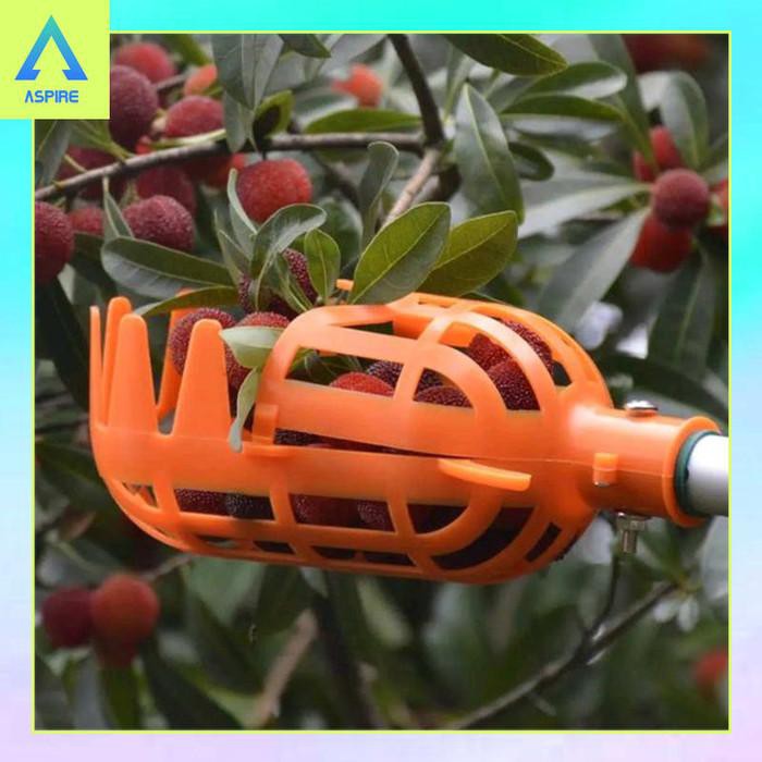 Alat Pemetik Buah Alat Petik Buah Picker Fruit