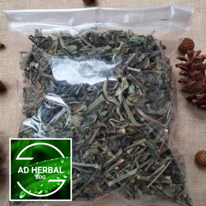 

Daun Kate Mas Kering 500 Gram Patikan Mas Herbal Penurun Berat Badan