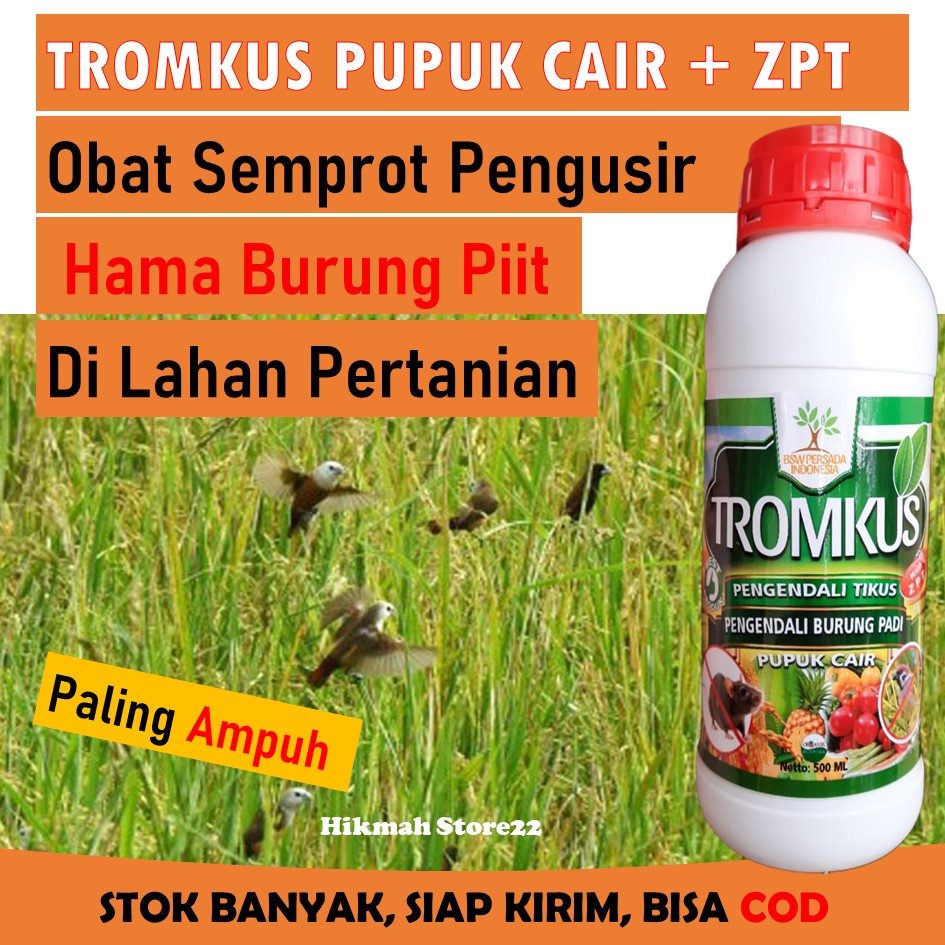 Jual Cod Tromkus Pengusir Burung Piit Obat Semprot Pengusir Hama Burung Piit Di Lahan