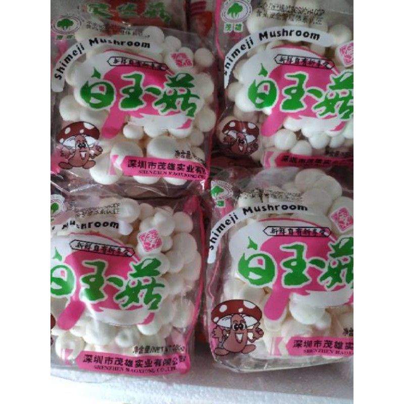 

Jamur Shimeji Putih