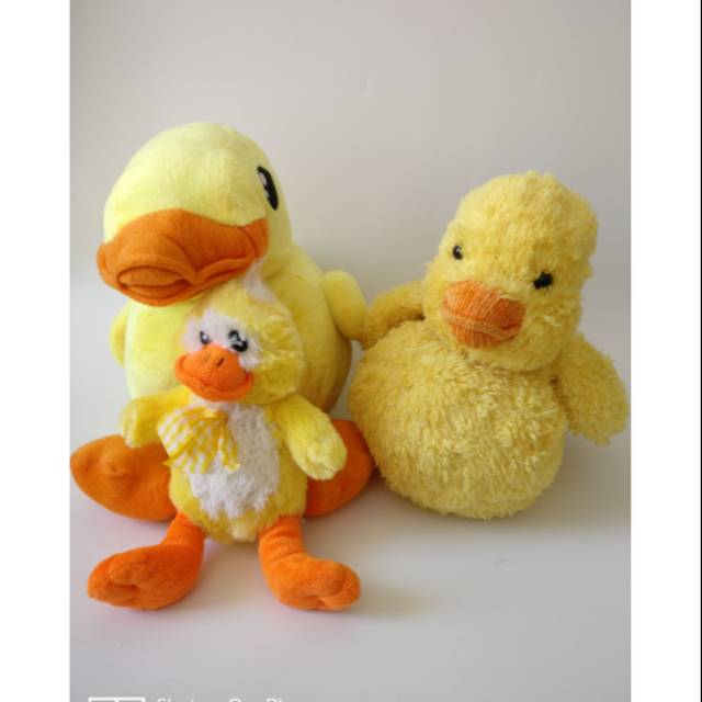 

Paket duck 1