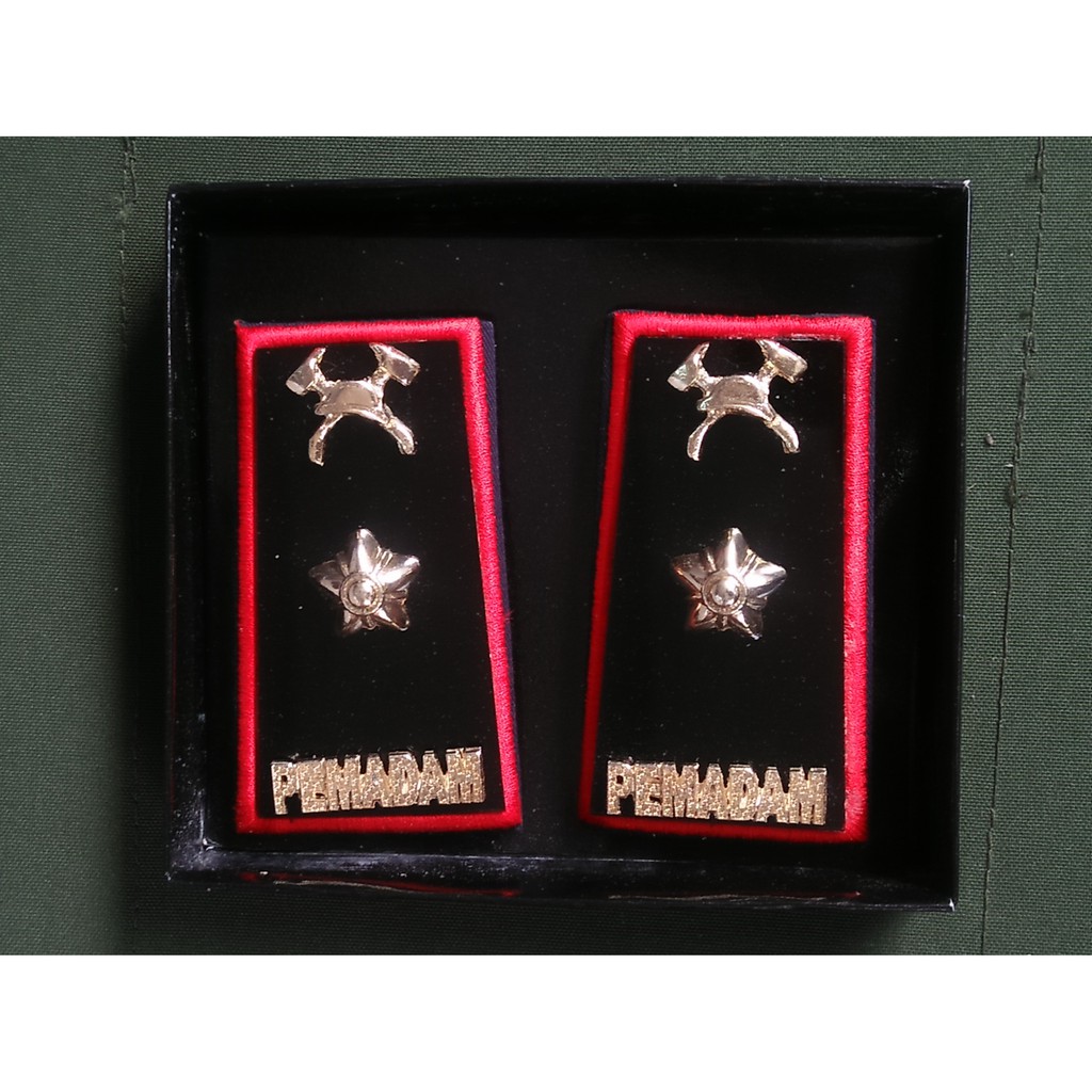 Tanda Pangkat Damkar Gol 3D