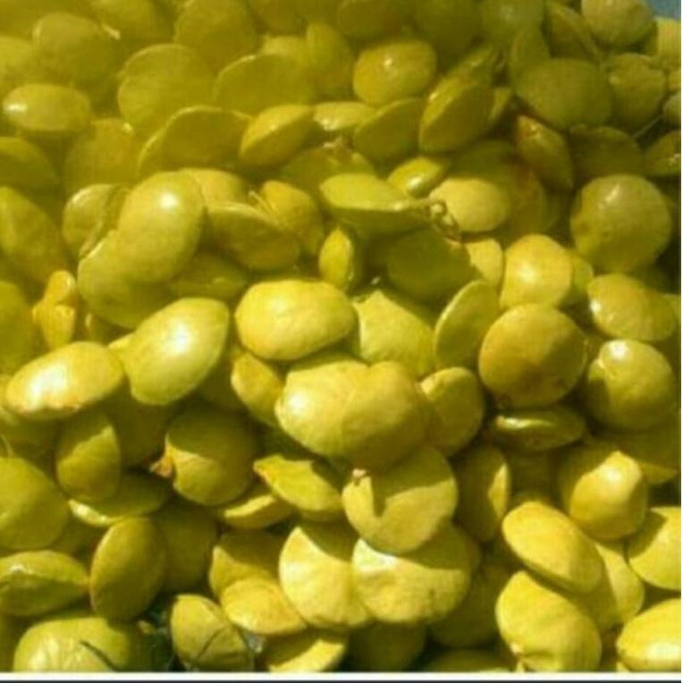 

NEW ARRIVAL jengkol muda lalap 1kg დ 870