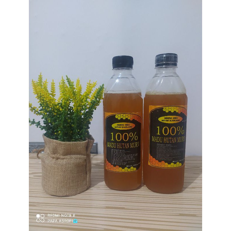 

MADU HUTAN MURNI DI PANEN LANGSUNG OLEH TIM ASROF MADU 500 ml